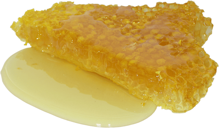 วิธีเลือกซื้อนมผึ้ง royal jelly แบบง่ายๆ คนจะซื้อนมผึ้งต้องอ่าน